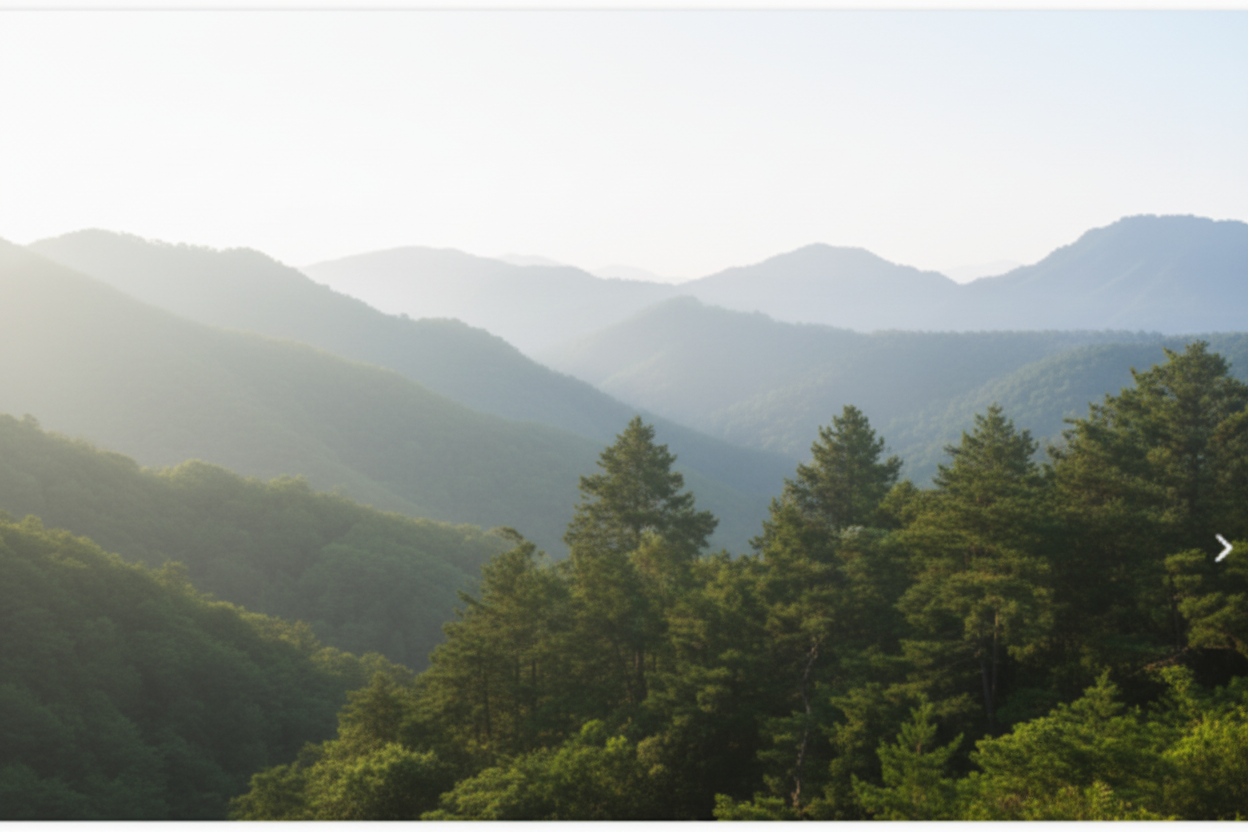 Sustainability Background